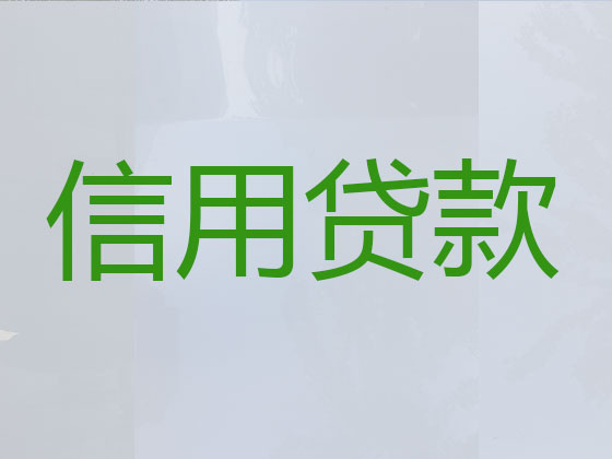 山南本地贷款公司